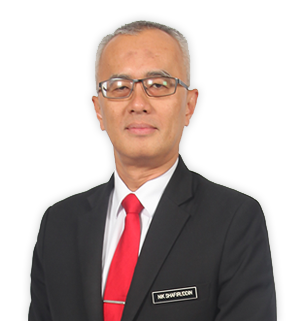 Timbalan Ketua Pengarah