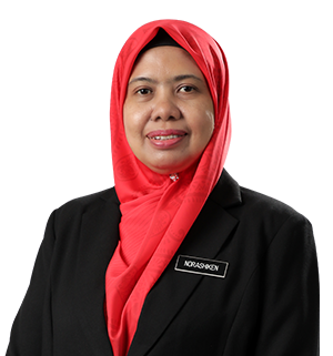 Timbalan Ketua Pengarah