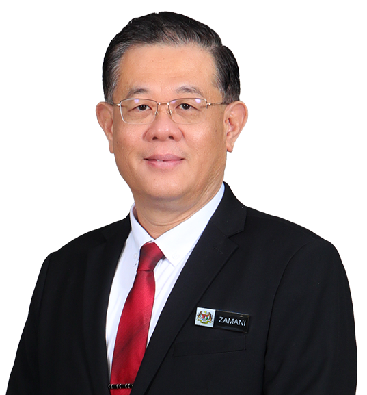 Timbalan Ketua Pengarah